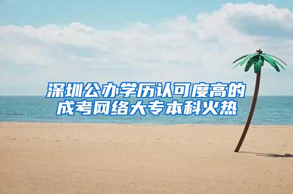 深圳公办学历认可度高的成考网络大专本科火热
