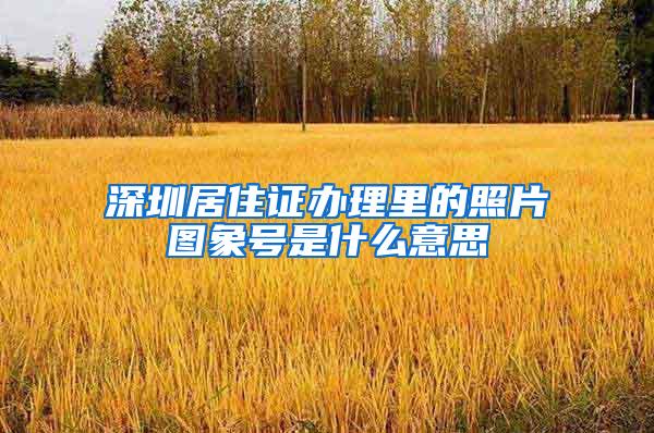 深圳居住证办理里的照片图象号是什么意思