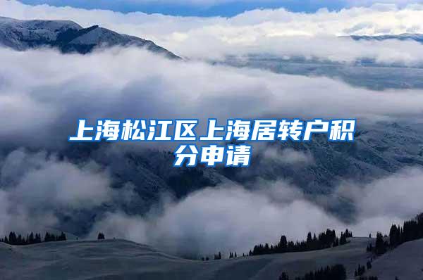 上海松江区上海居转户积分申请