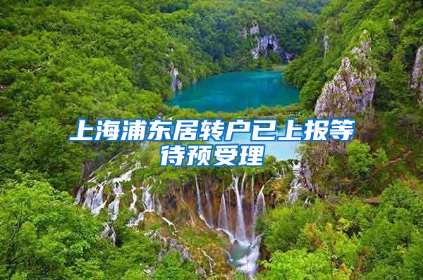 上海浦东居转户已上报等待预受理