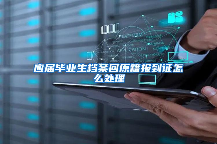 应届毕业生档案回原籍报到证怎么处理