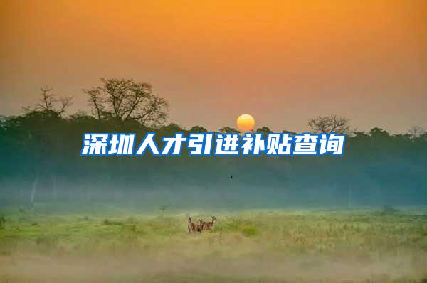 深圳人才引进补贴查询