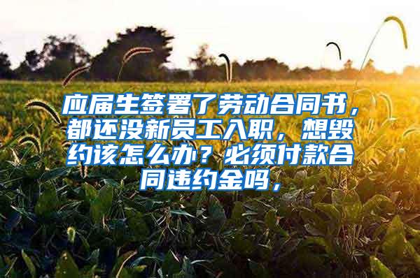 应届生签署了劳动合同书，都还没新员工入职，想毁约该怎么办？必须付款合同违约金吗，