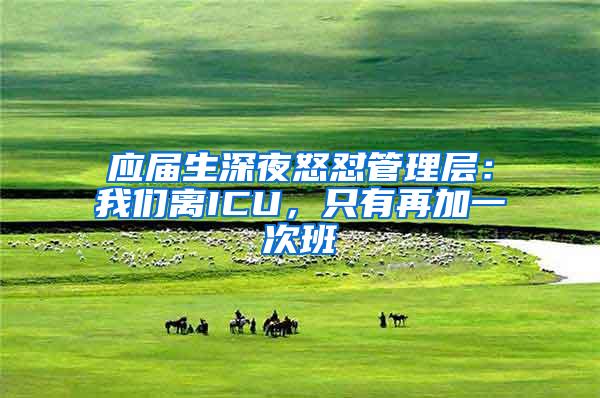 应届生深夜怒怼管理层：我们离ICU，只有再加一次班