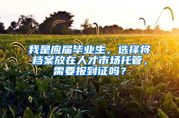 我是应届毕业生，选择将档案放在人才市场托管，需要报到证吗？