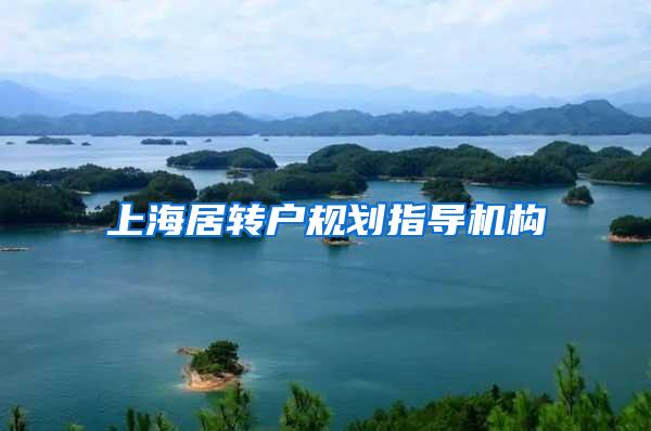 上海居转户规划指导机构
