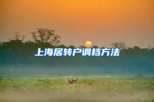上海居转户调档方法