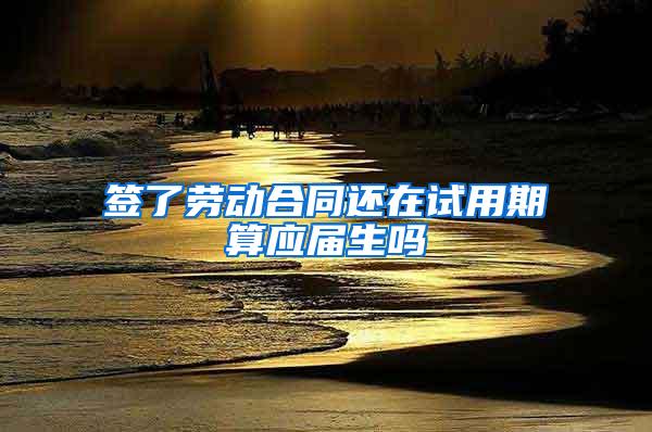 签了劳动合同还在试用期算应届生吗