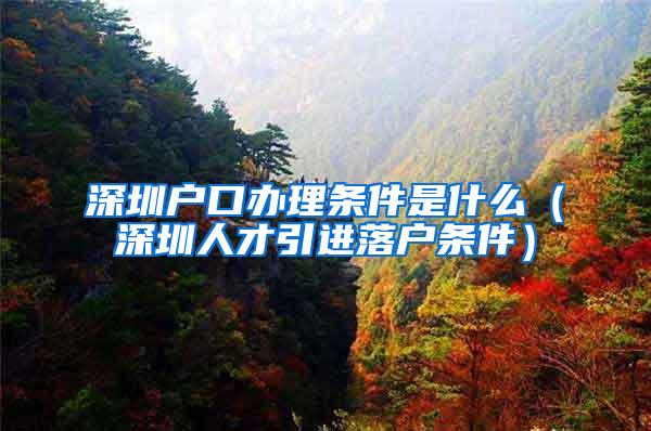 深圳户口办理条件是什么（深圳人才引进落户条件）