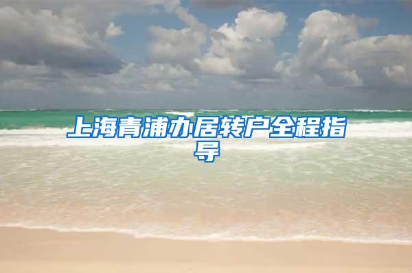 上海青浦办居转户全程指导