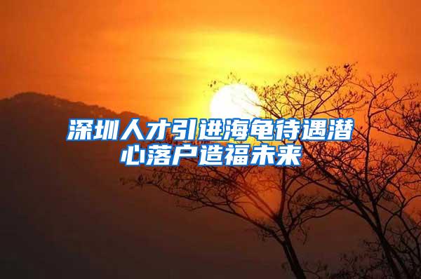 深圳人才引进海龟待遇潜心落户造福未来