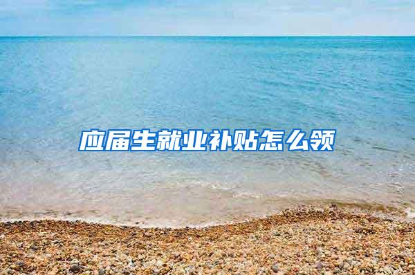 应届生就业补贴怎么领