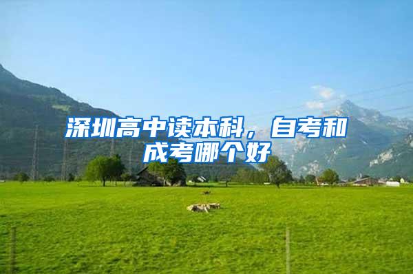深圳高中读本科，自考和成考哪个好