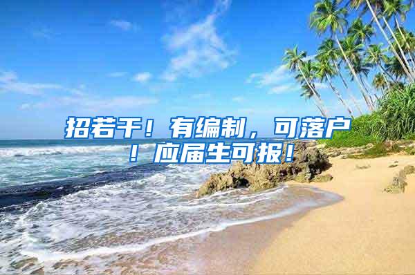 招若干！有编制，可落户！应届生可报！