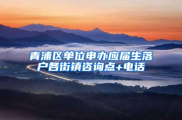 青浦区单位申办应届生落户各街镇咨询点+电话