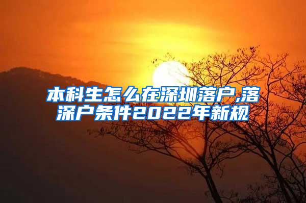 本科生怎么在深圳落户,落深户条件2022年新规