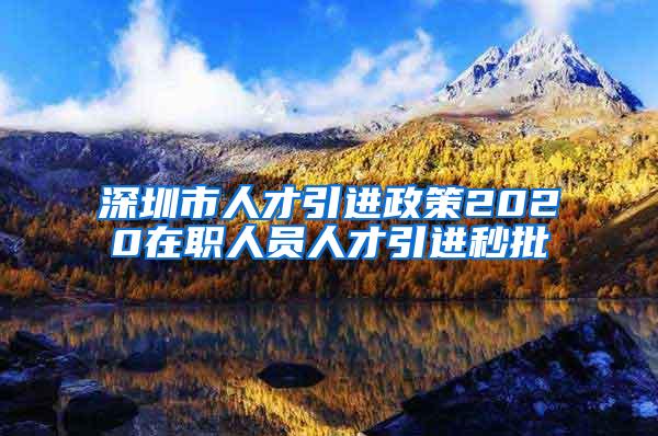 深圳市人才引进政策2020在职人员人才引进秒批