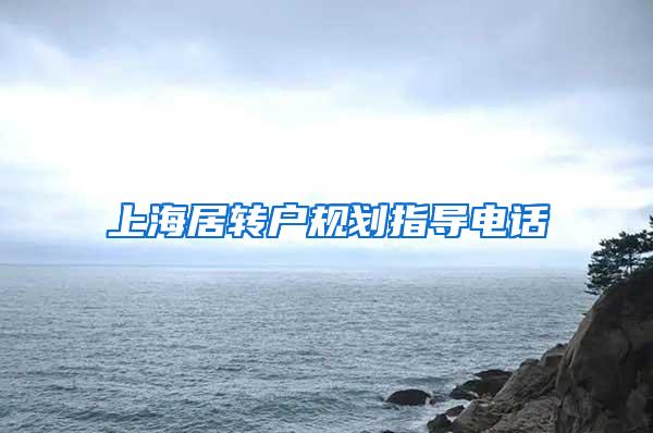 上海居转户规划指导电话
