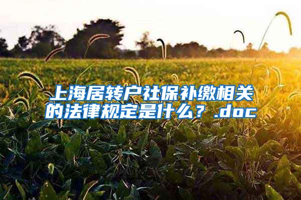 上海居转户社保补缴相关的法律规定是什么？.doc