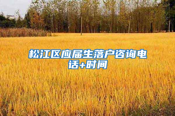 松江区应届生落户咨询电话+时间