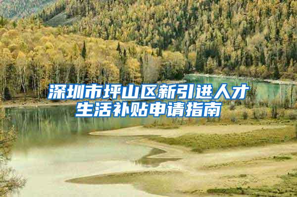 深圳市坪山区新引进人才生活补贴申请指南
