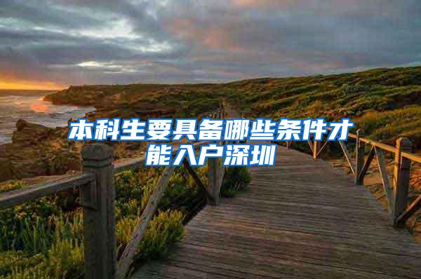 本科生要具备哪些条件才能入户深圳