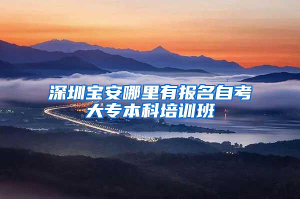 深圳宝安哪里有报名自考大专本科培训班