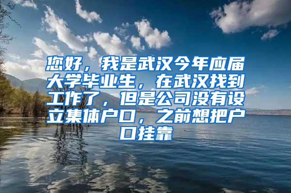 您好，我是武汉今年应届大学毕业生，在武汉找到工作了，但是公司没有设立集体户口，之前想把户口挂靠