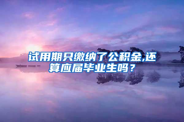 试用期只缴纳了公积金,还算应届毕业生吗？