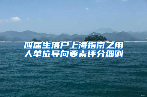 应届生落户上海指南之用人单位导向要素评分细则