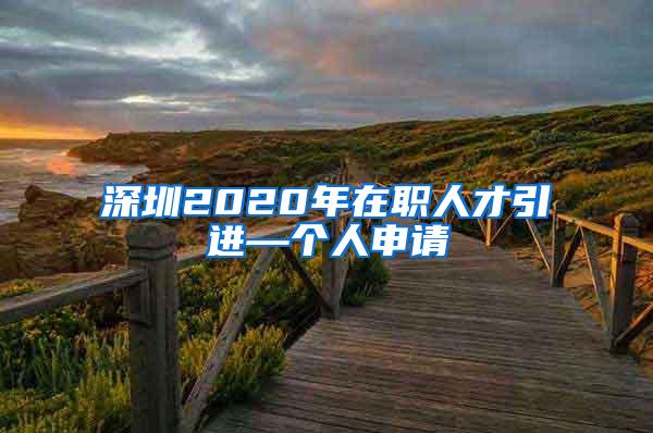 深圳2020年在职人才引进—个人申请