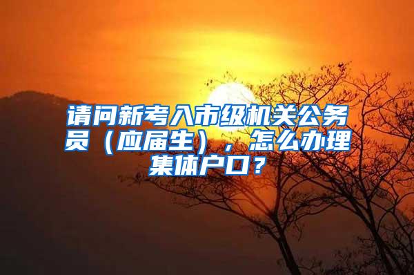 请问新考入市级机关公务员（应届生），怎么办理集体户口？