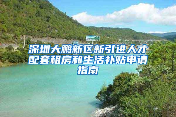 深圳大鹏新区新引进人才配套租房和生活补贴申请指南