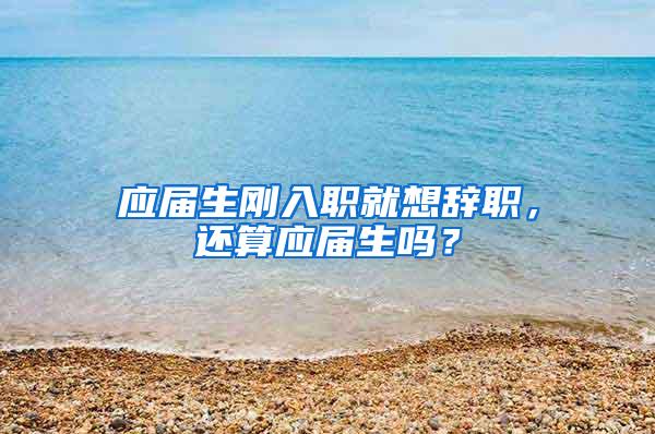 应届生刚入职就想辞职，还算应届生吗？