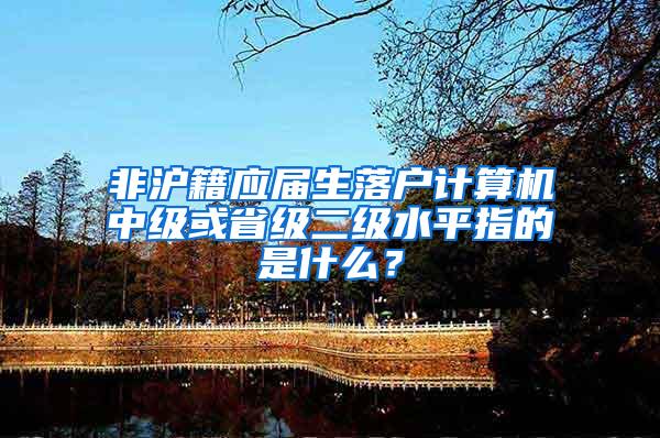非沪籍应届生落户计算机中级或省级二级水平指的是什么？