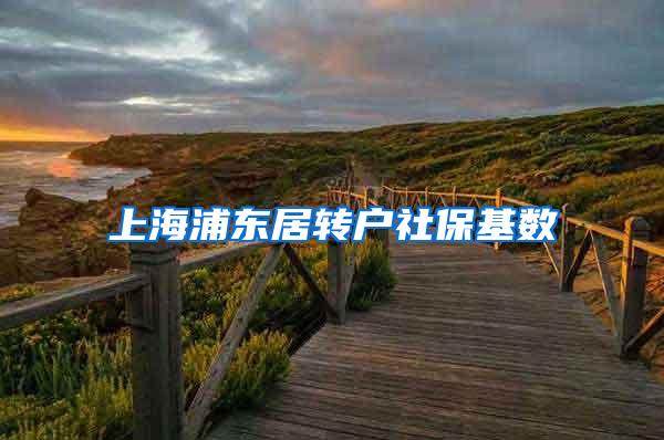 上海浦东居转户社保基数