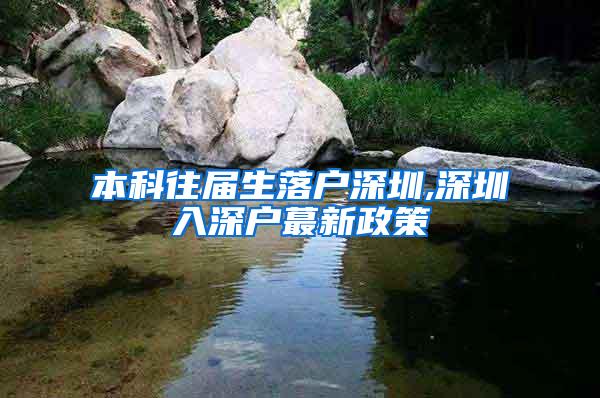 本科往届生落户深圳,深圳入深户蕞新政策