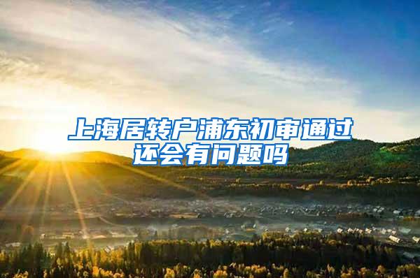 上海居转户浦东初审通过还会有问题吗