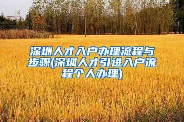 深圳人才入户办理流程与步骤(深圳人才引进入户流程个人办理)