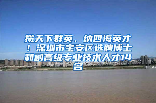 揽天下群英，纳四海英才！深圳市宝安区选聘博士和副高级专业技术人才14名