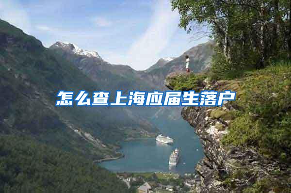 怎么查上海应届生落户