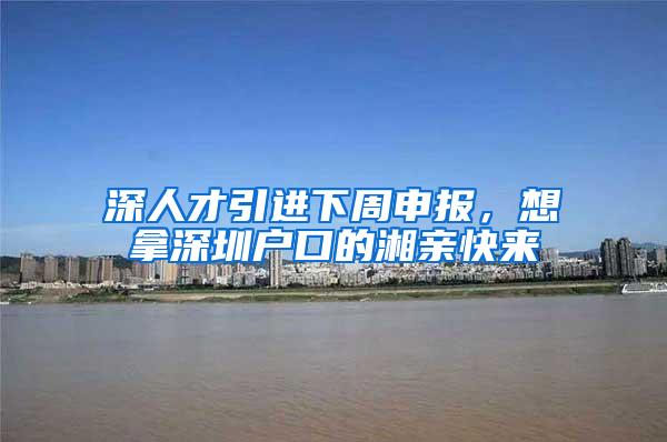 深人才引进下周申报，想拿深圳户口的湘亲快来
