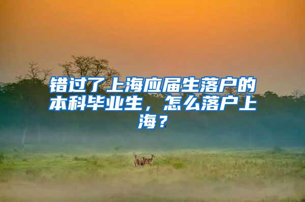 错过了上海应届生落户的本科毕业生，怎么落户上海？