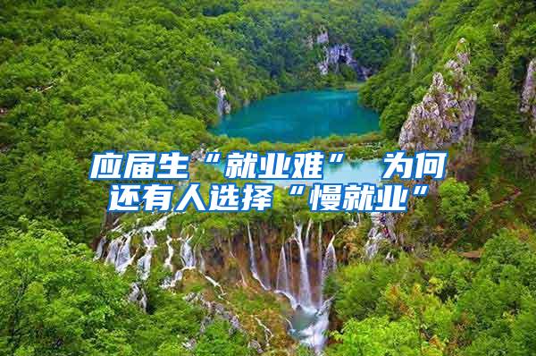 应届生“就业难” 为何还有人选择“慢就业”