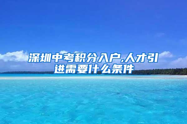 深圳中考积分入户,人才引进需要什么条件