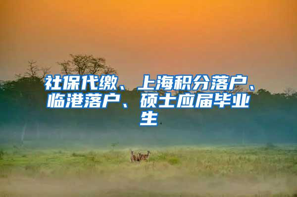 社保代缴、上海积分落户、临港落户、硕士应届毕业生