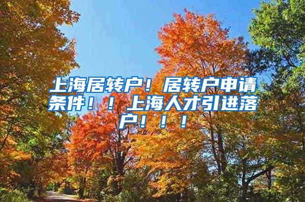 上海居转户！居转户申请条件！！上海人才引进落户！！！