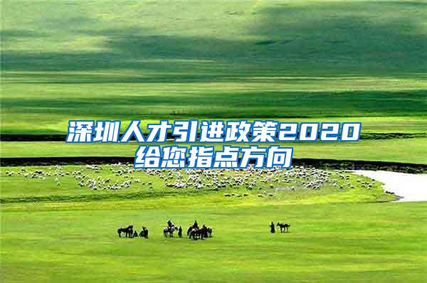 深圳人才引进政策2020给您指点方向