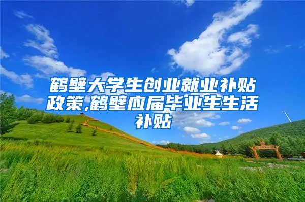 鹤壁大学生创业就业补贴政策,鹤壁应届毕业生生活补贴