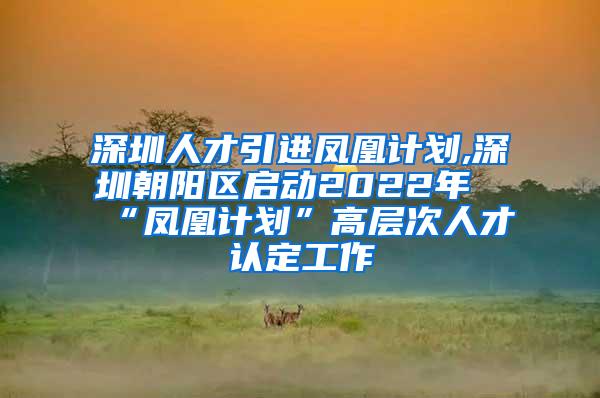 深圳人才引进凤凰计划,深圳朝阳区启动2022年“凤凰计划”高层次人才认定工作